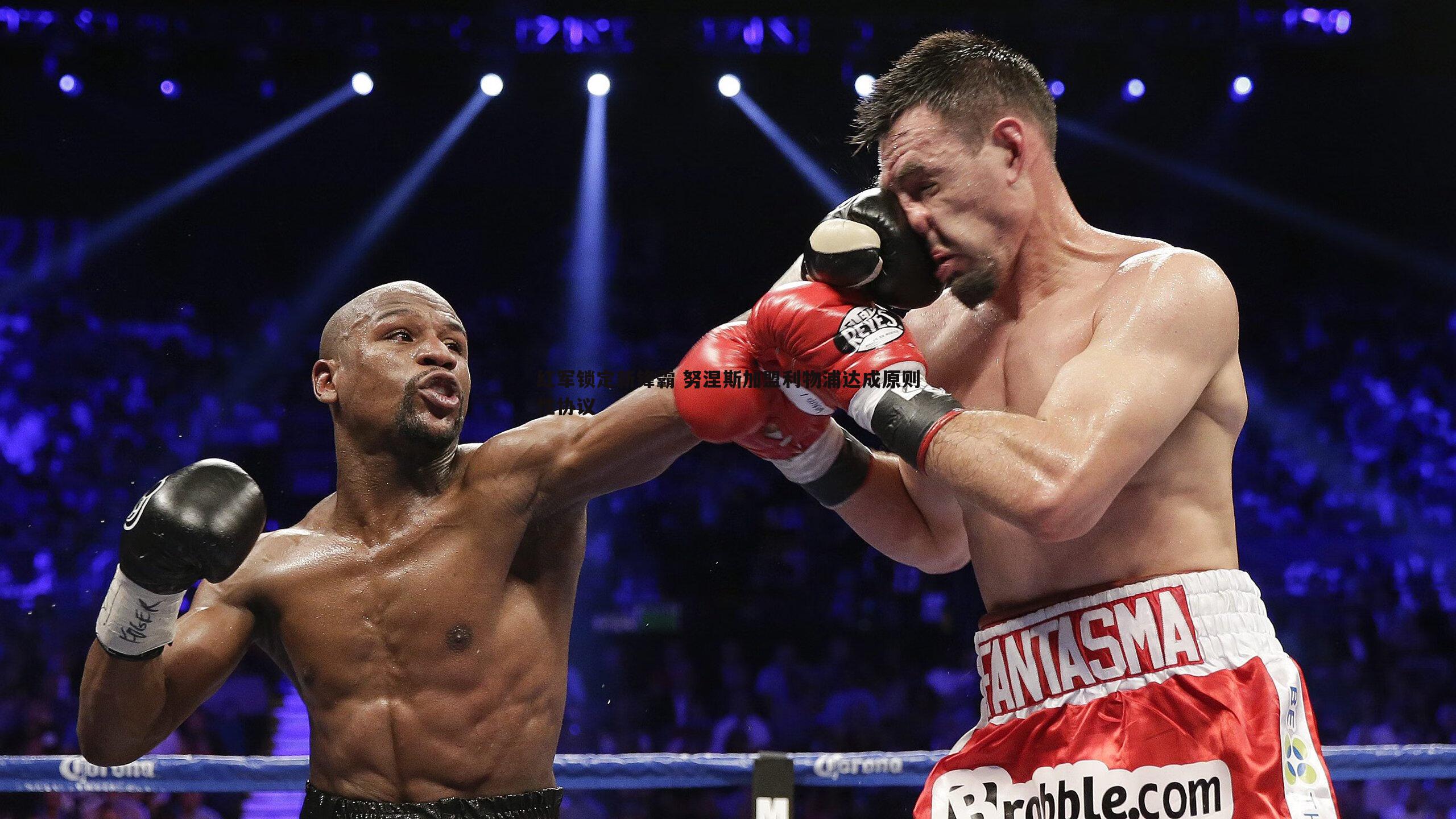 红军锁定新锋霸 努涅斯加盟利物浦达成原则性协议