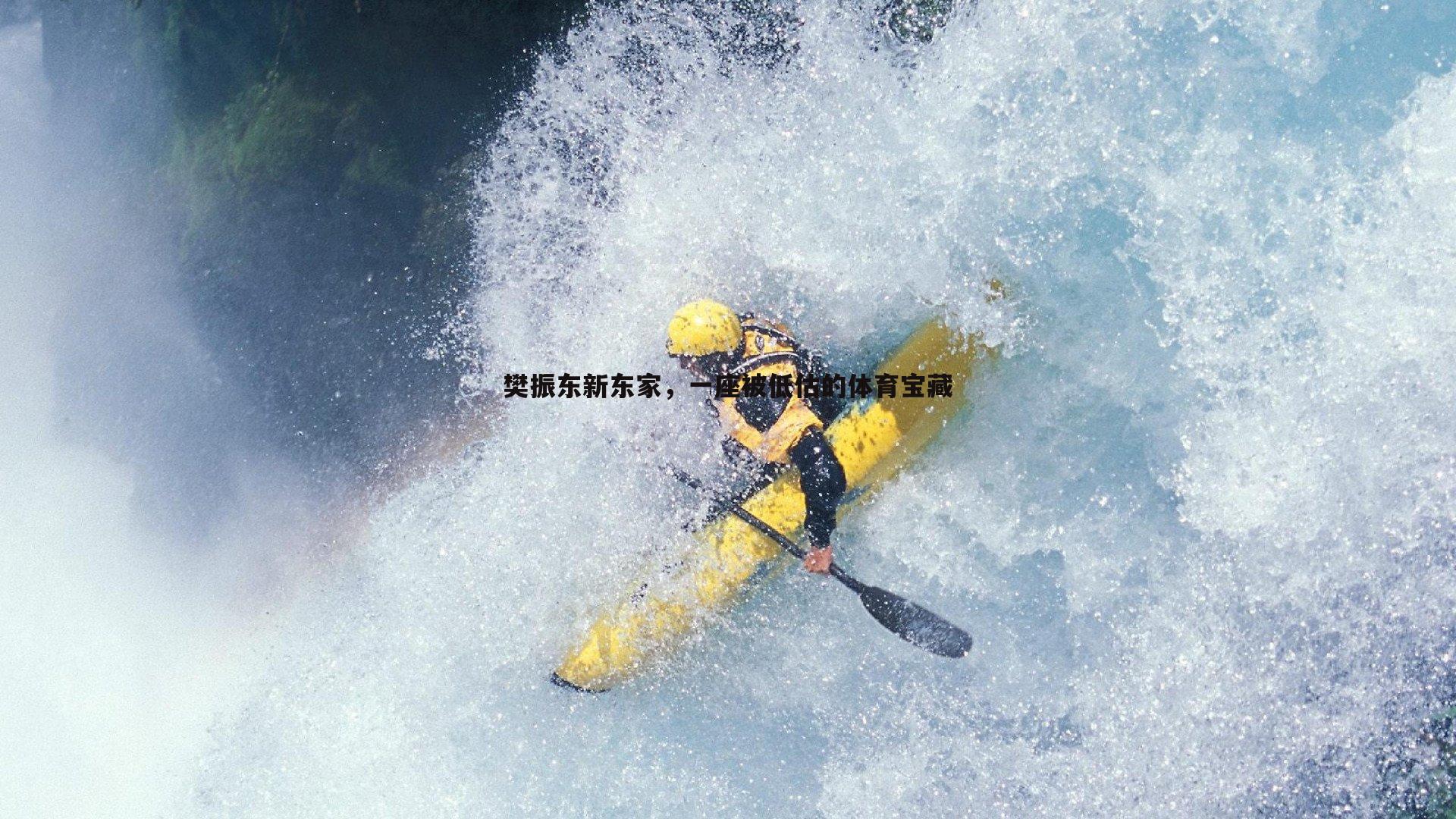 樊振东新东家,一座被低估的体育宝藏